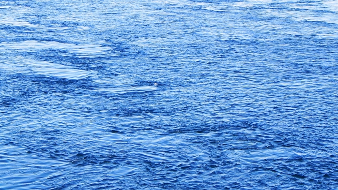 DSCN8847 (700x393, 299Kb)