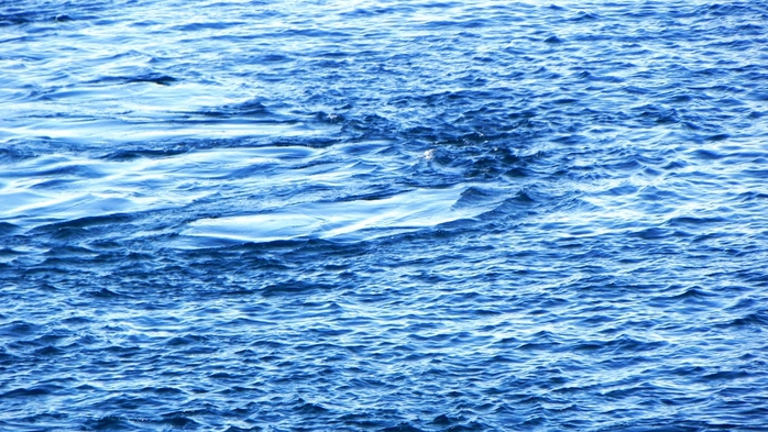 DSCN8851 (700x393, 289Kb)