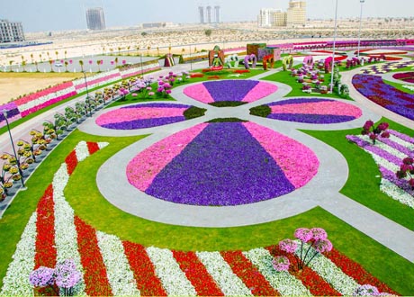 Dubain_Miracle_Gar_2492919a (460x330, 119Kb)