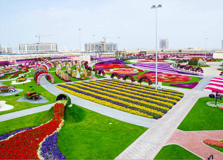 Dubai-Miracle-Gard_2492925a (460x330, 60Kb)