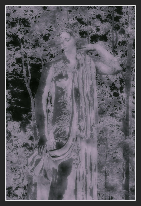 S_XII (478x700, 115Kb)