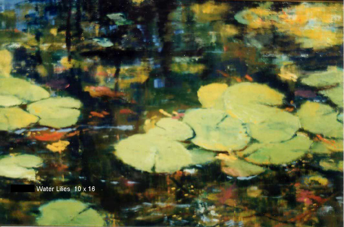 Q 113 sold- Water lilies (700x462, 385Kb)