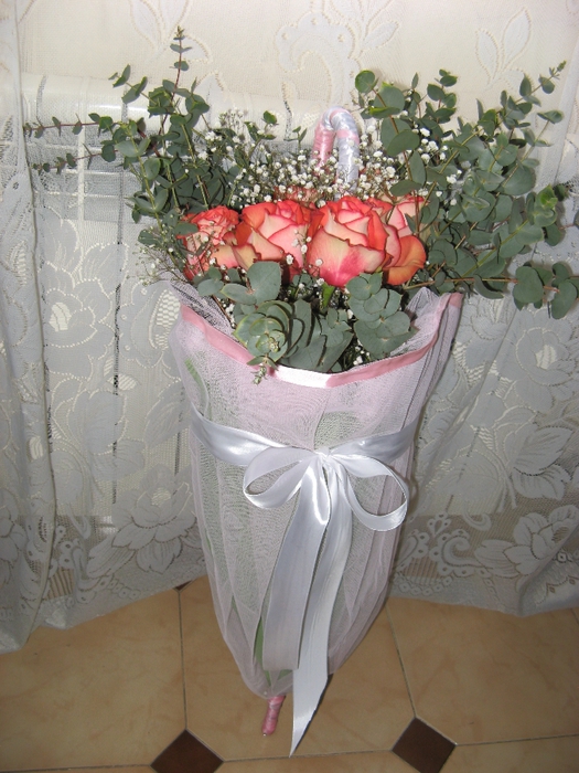 IMG_2729 (525x700, 296Kb)