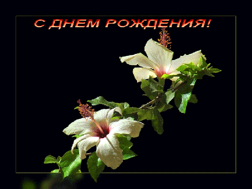 Днем рождения, открытка с земным днем рождения доченька