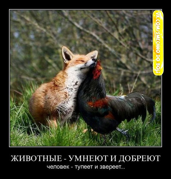-84zEpJ41Jg (579x604, 79Kb)