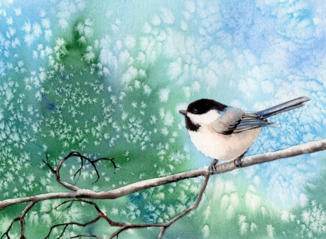 chickadee_8_bird_watercolor_painting_birds__animals__fac26c15e7b8c4f3ea911e229b9736bb (475x349, 147Kb)