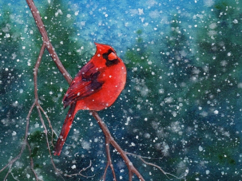 cardinal_2_watercolor_bird_painting_birds__animals__aad372e5af5c53190abb7168ae0b3ff0 (475x355, 169Kb)