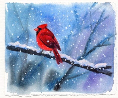 cardinal_bird_watercolor_painting_birds__animals__39cc89acb709fa48ac99a7f31b567e93 (475x398, 168Kb)