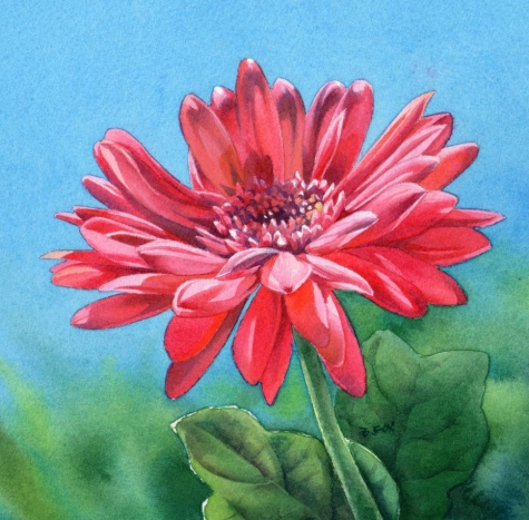 gerbera_daisy_sold_flower_watercolor_painting_a91fc737552e21b61f804fd53859c27d (475x467, 187Kb)