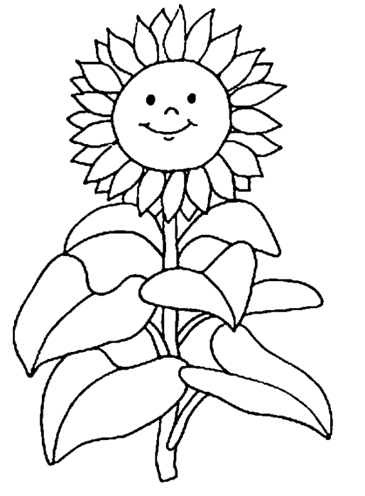 330026694634_9314_sunflower01 (514x700, 34Kb)