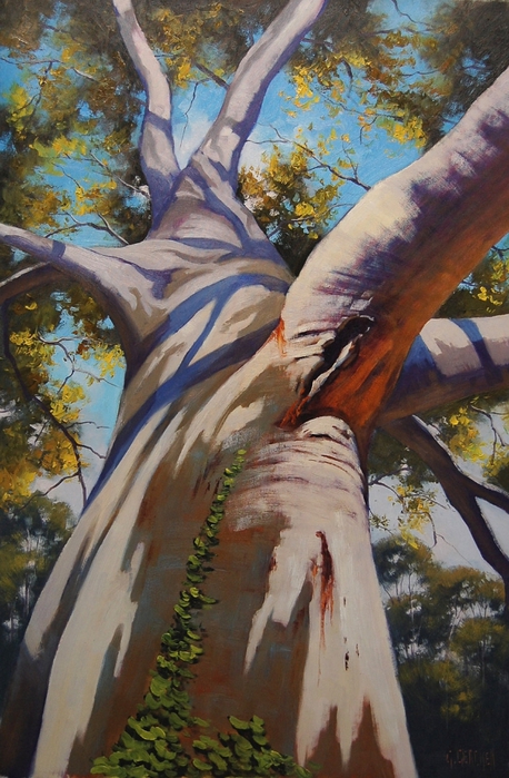 australian_gum_tree_portrait_by_artsaus-d5ch7w1 (458x700, 289Kb)