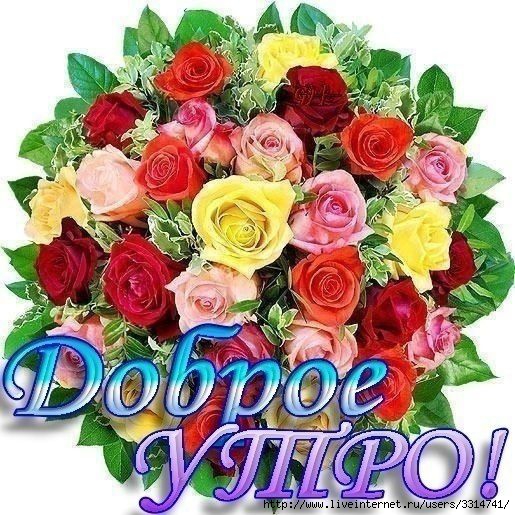 c7db9cdd13013f7282088f9f64574209 (515x515, 225Kb)