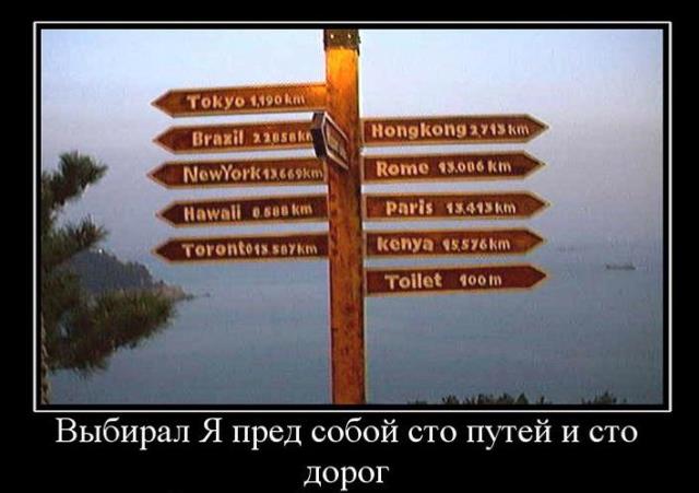 458932_vyibiral-ya-pred-soboj-sto-putej-i-sto-dorog (640x451, 45Kb)