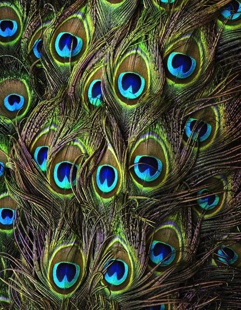93QhNl2o4EM (470x604, 137Kb)