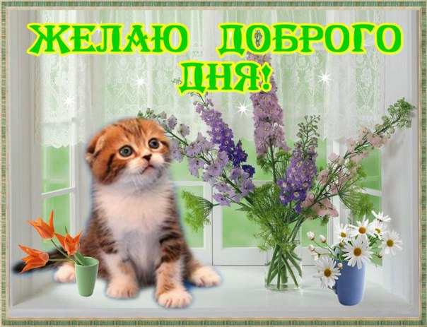 Хорошего дня котик