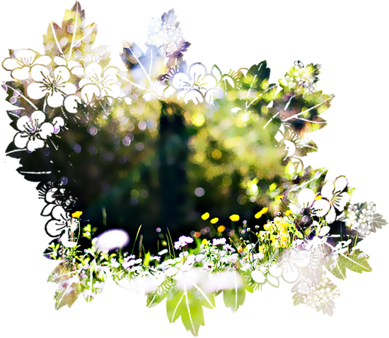4- (550x479, 453Kb)