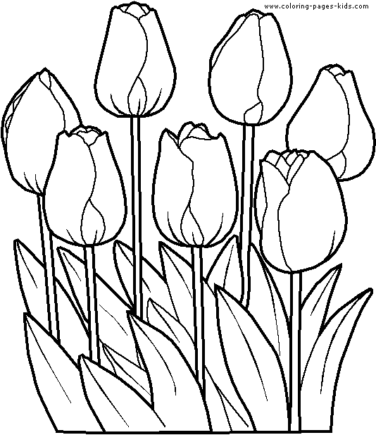 flower-coloring-page-11 (534x617, 15Kb)