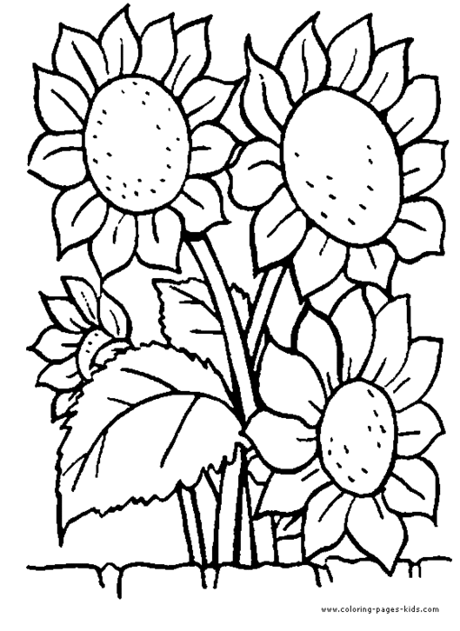 flower-coloring-page-44 (510x700, 53Kb)