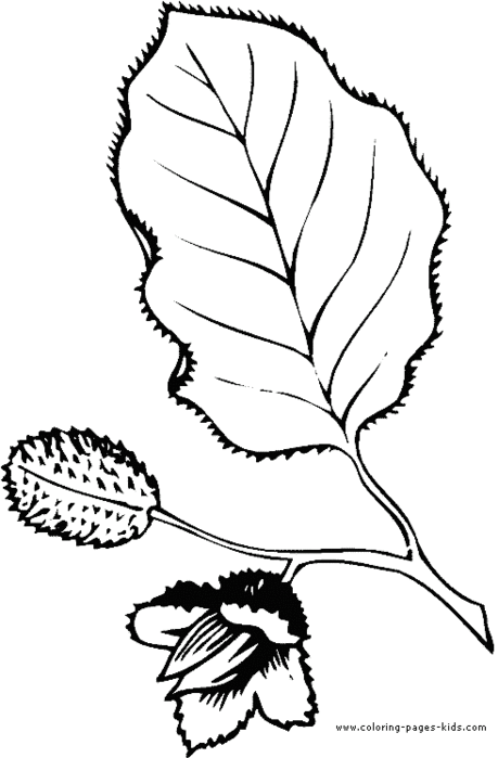 leaf-coloring-page-03 (459x700, 35Kb)
