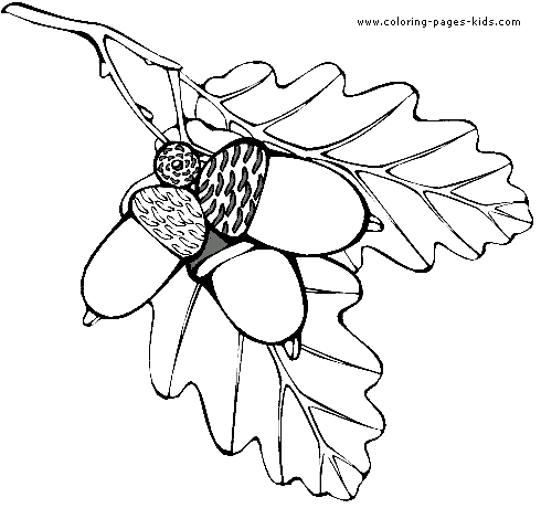 leaf-coloring-page-04 (490x460, 9Kb)