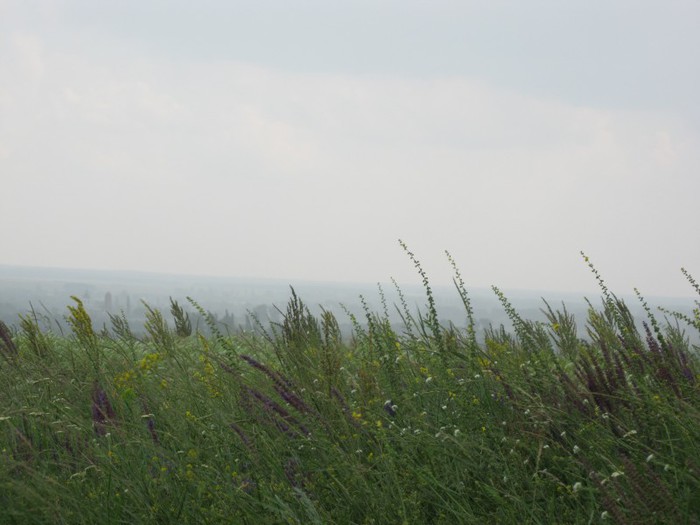 IMG_0760 (700x525, 63Kb)