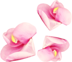  KD_T_flowerpink1 (540x459, 257Kb)