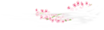  KD_T_flowers5 (700x207, 87Kb)