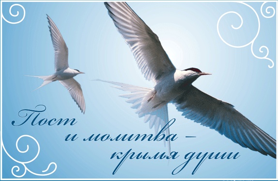 (574x374, 73Kb)