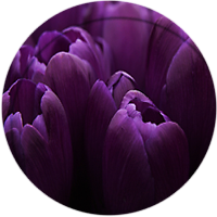 3553911_31_1_ (200x200, 58Kb)