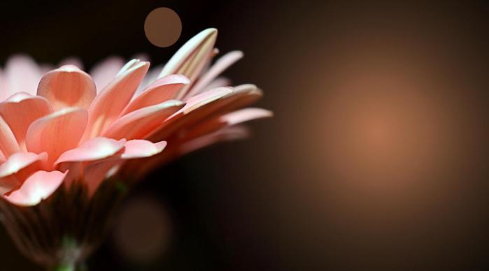 --1 (700x388, 17Kb)