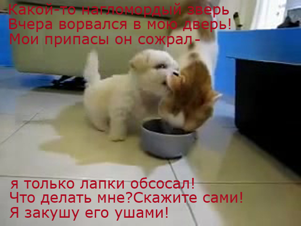  (620x465, 170Kb)