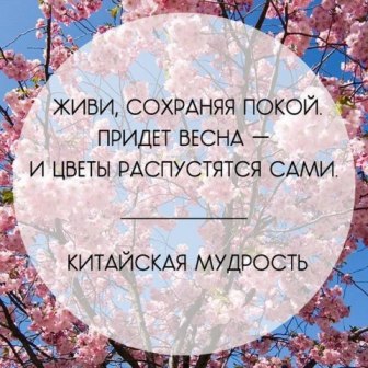  (336x336, 44Kb)