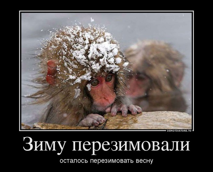 80df7cb1a2188ce746b60f82bfd70d31 (700x567, 89Kb)