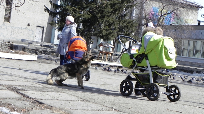 DSCN8952 (700x393, 254Kb)