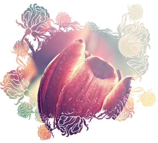  (550x498, 398Kb)