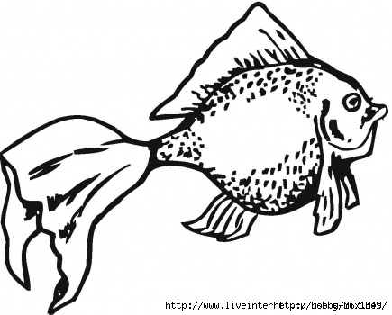 96750208_goldenfishcoloringwpage (435x350, 87Kb)