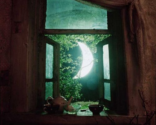  . (500x400, 35Kb)
