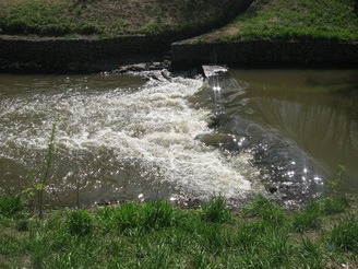 IMG_0888_ (325x247, 56Kb)