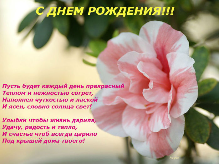 С днем рождения открытка с именем азалия, стразами фото картинки
