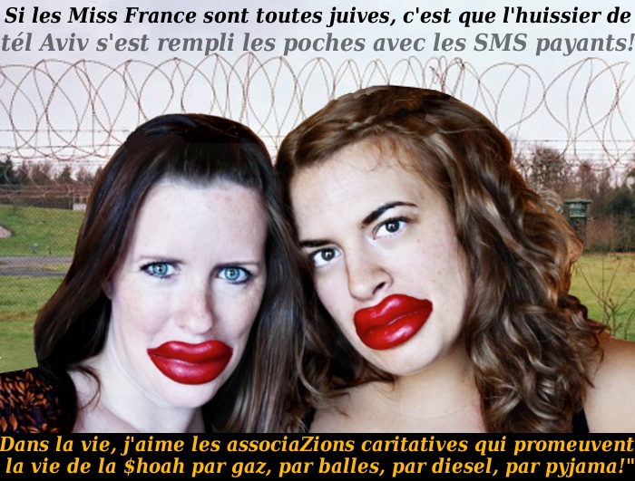 Pour une miss France, être juive, c'est déjà la moitié de la couronne./5046362_CoolMiss_1_ (700x531, 198Kb)