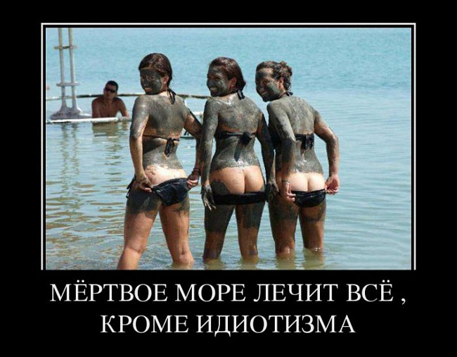 0d0f2acf0dfe85b689b71f2942e67d84 (650x507, 98Kb)