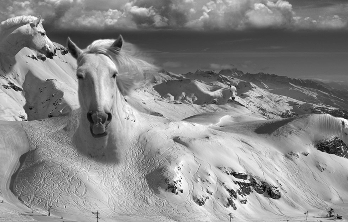 3623822_montages05 (700x447, 198Kb)