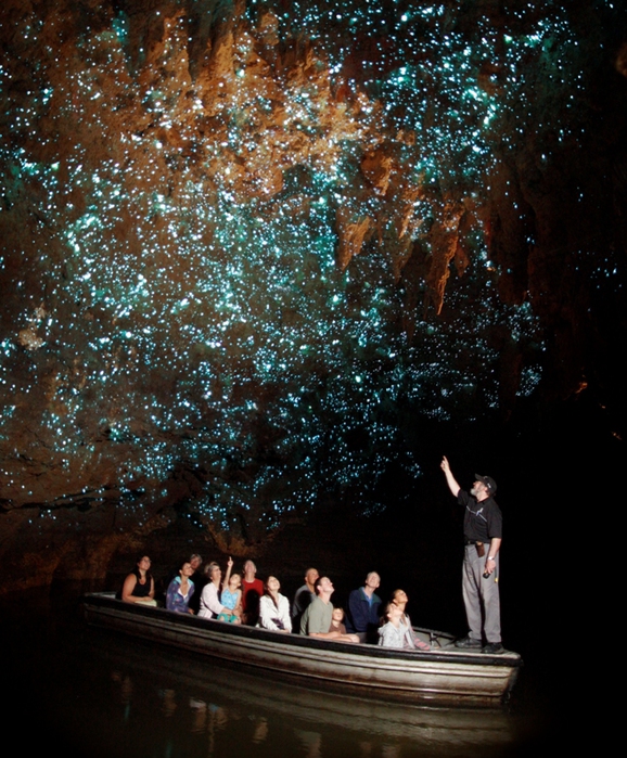 waitomo-e28093-glowworm-caves2 (578x700, 324Kb)