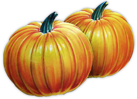 4360286_pumpkins (474x344, 248Kb)