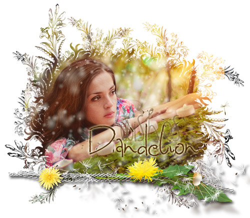 1688397_dandelion (500x436, 421Kb)