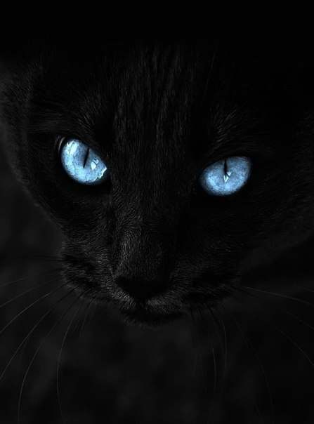 7G0NaHZDnCQ (447x604, 11Kb)