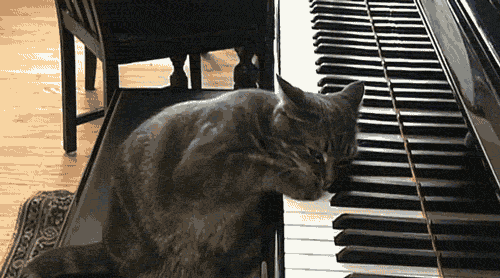 tumblr_mlqcn4LCTz1qc6j5yo1_500 (500x278, 1011Kb)