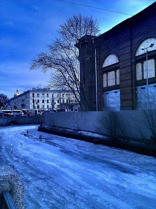 C360_2013-04-12-15-19-20 (525x700, 364Kb)