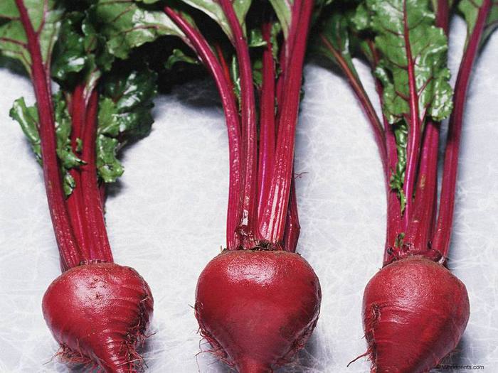 98740512_84518629_large_radishes_2 (700x525, 60Kb)