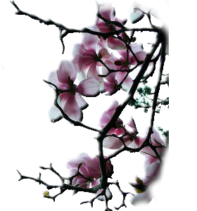  2 (280x300, 108Kb)